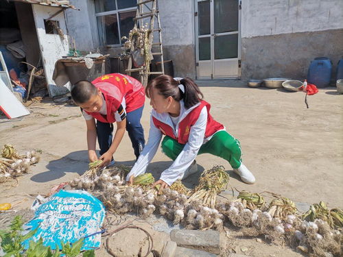 東營(yíng)市新時(shí)代文明實(shí)踐志愿服務(wù)網(wǎng) 數(shù)字化平臺(tái)賦能志愿服務(wù)新篇章