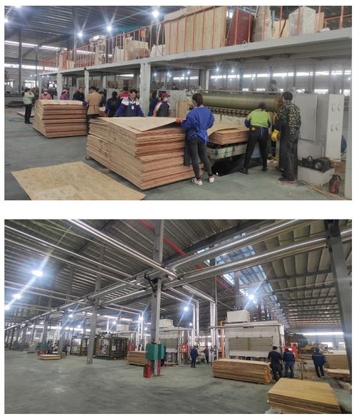 開(kāi)年開(kāi)好局，大王椰家具板渠道發(fā)力氣勢(shì)如虹，網(wǎng)絡(luò)服務(wù)賦能新增長(zhǎng)